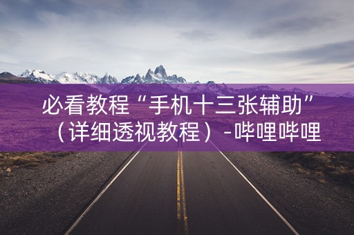 必看教程“手机十三张辅助”（详细透视教程）-哔哩哔哩