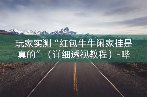 玩家实测“红包牛牛闲家挂是真的”（详细透视教程）-哔哩哔哩