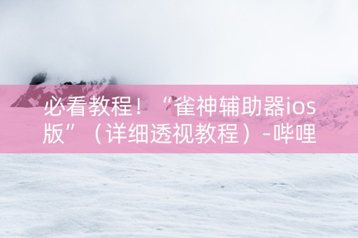 必看教程！“雀神辅助器ios版”（详细透视教程）-哔哩哔哩