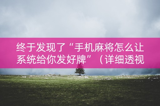 终于发现了“手机麻将怎么让系统给你发好牌”（详细透视教程）-哔哩哔哩