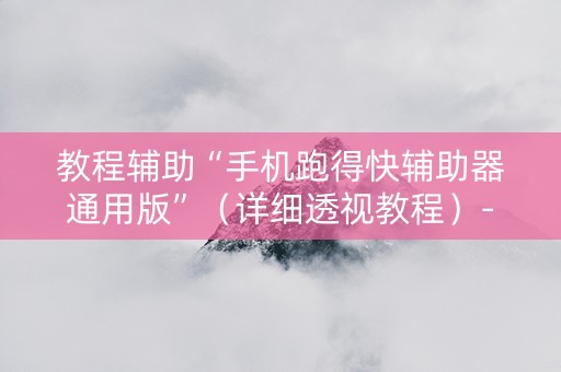 教程辅助“手机跑得快辅助器通用版”（详细透视教程）-哔哩哔哩