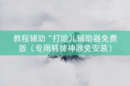 教程辅助“打哈儿辅助器免费版（专用辅牌神器免安装）