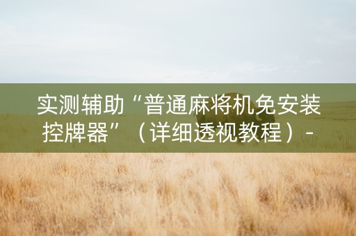实测辅助“普通麻将机免安装控牌器”（详细透视教程）-哔哩哔哩
