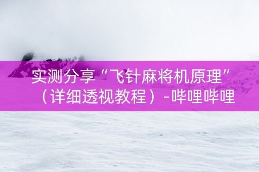 实测分享“飞针麻将机原理”（详细透视教程）-哔哩哔哩