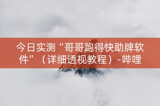 今日实测“哥哥跑得快助牌软件”（详细透视教程）-哔哩哔哩