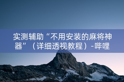 实测辅助“不用安装的麻将神器”（详细透视教程）-哔哩哔哩