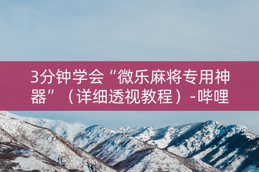 3分钟学会“微乐麻将专用神器”（详细透视教程）-哔哩哔哩