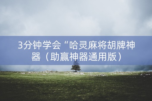 3分钟学会“哈灵麻将胡牌神器（助赢神器通用版）