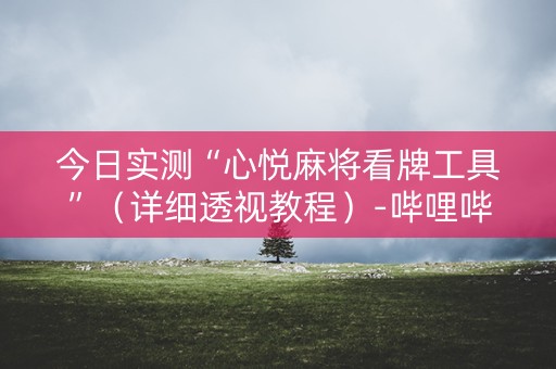 今日实测“心悦麻将看牌工具”（详细透视教程）-哔哩哔哩