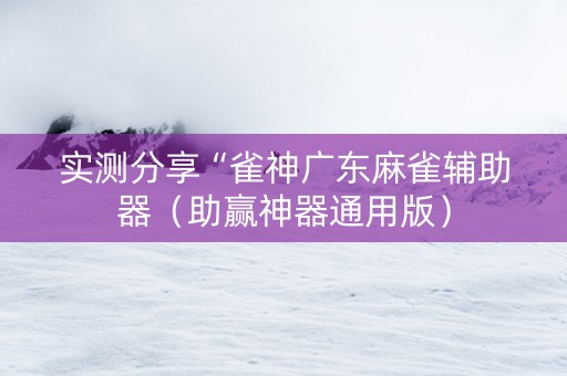 实测分享“雀神广东麻雀辅助器（助赢神器通用版）