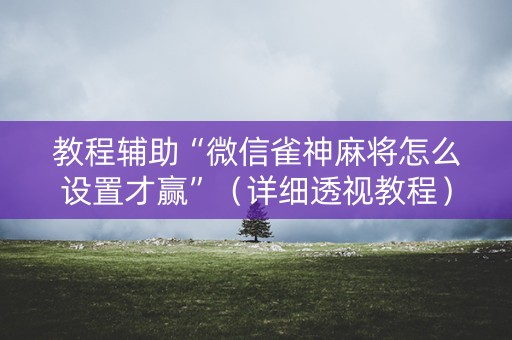 教程辅助“微信雀神麻将怎么设置才赢”（详细透视教程）-哔哩哔哩