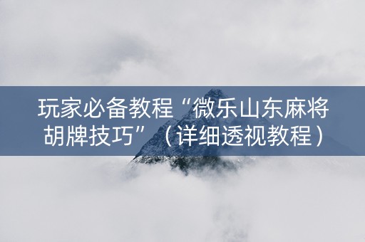 玩家必备教程“微乐山东麻将胡牌技巧”（详细透视教程）-哔哩哔哩
