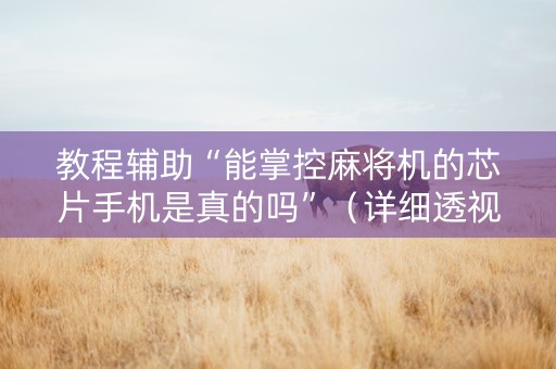 教程辅助“能掌控麻将机的芯片手机是真的吗”（详细透视教程）-哔哩哔哩