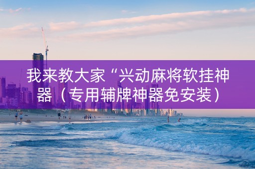 我来教大家“兴动麻将软挂神器（专用辅牌神器免安装）