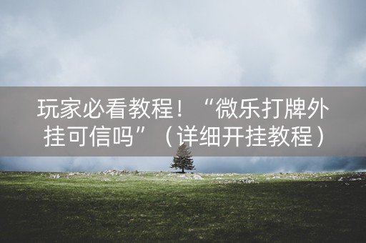 玩家必看教程！“微乐打牌外挂可信吗”（详细开挂教程）-哔哩哔哩