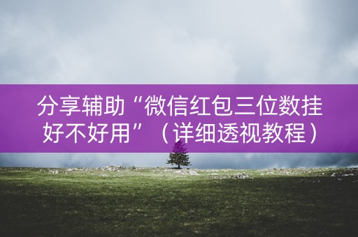 分享辅助“微信红包三位数挂好不好用”（详细透视教程）-哔哩哔哩