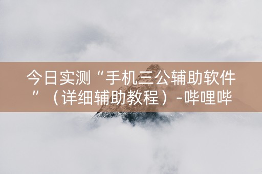 今日实测“手机三公辅助软件”（详细辅助教程）-哔哩哔哩