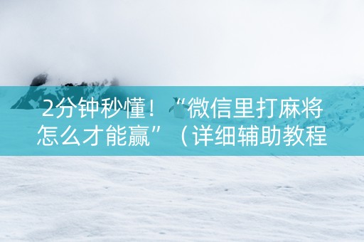 2分钟秒懂！“微信里打麻将怎么才能赢”（详细辅助教程）-哔哩哔哩