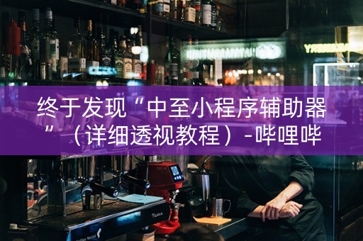 终于发现“中至小程序辅助器”（详细透视教程）-哔哩哔哩