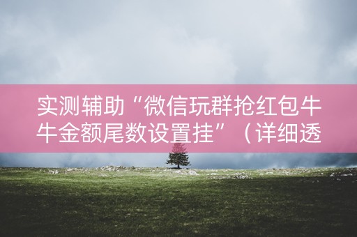 实测辅助“微信玩群抢红包牛牛金额尾数设置挂”（详细透视教程）-哔哩哔哩