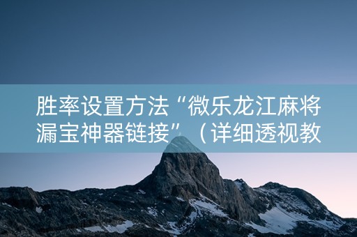 胜率设置方法“微乐龙江麻将漏宝神器链接”（详细透视教程）-哔哩哔哩