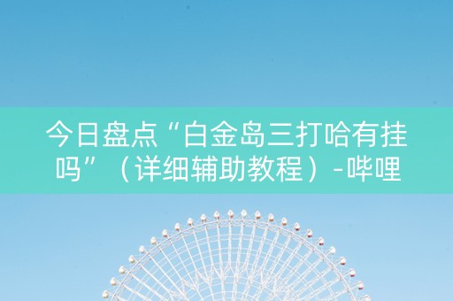 今日盘点“白金岛三打哈有挂吗”（详细辅助教程）-哔哩哔哩