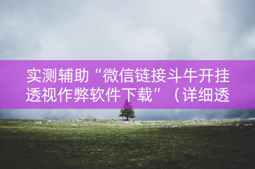 实测辅助“微信链接斗牛开挂透视作弊软件下载”（详细透视教程）-哔哩哔哩