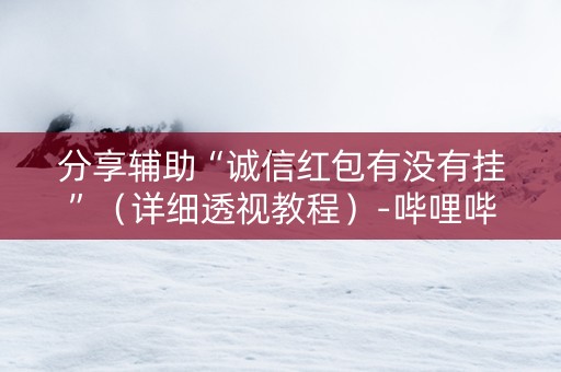 分享辅助“诚信红包有没有挂”（详细透视教程）-哔哩哔哩