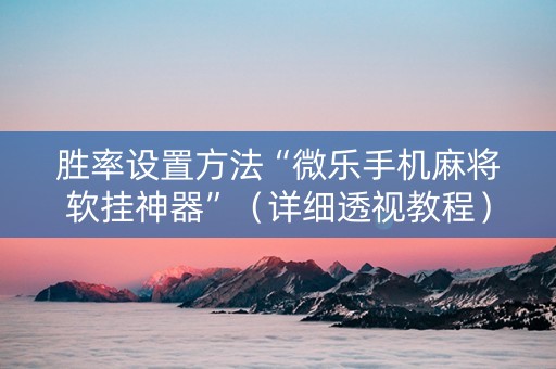 胜率设置方法“微乐手机麻将软挂神器”（详细透视教程）-哔哩哔哩