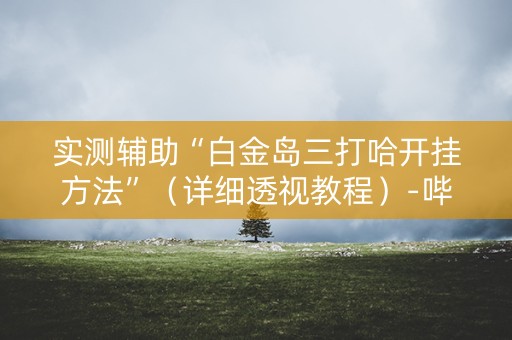 实测辅助“白金岛三打哈开挂方法”（详细透视教程）-哔哩哔哩