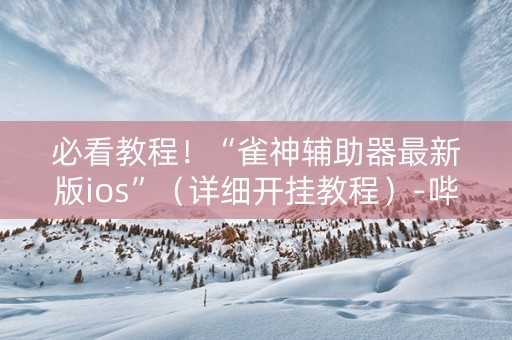 必看教程！“雀神辅助器最新版ios”（详细开挂教程）-哔哩哔哩