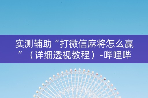 实测辅助“打微信麻将怎么赢”（详细透视教程）-哔哩哔哩