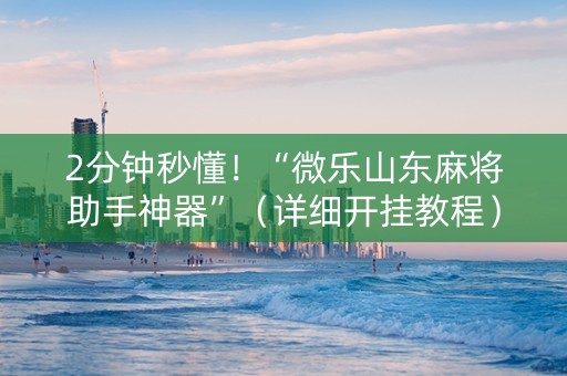 2分钟秒懂！“微乐山东麻将助手神器”（详细开挂教程）-哔哩哔哩