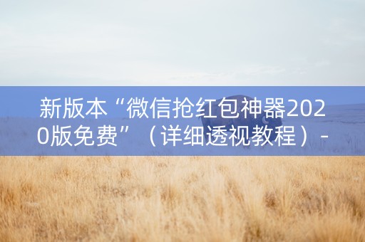 新版本“微信抢红包神器2020版免费”（详细透视教程）-哔哩哔哩