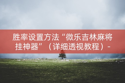 胜率设置方法“微乐吉林麻将挂神器”（详细透视教程）-哔哩哔哩