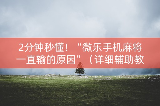 2分钟秒懂！“微乐手机麻将一直输的原因”（详细辅助教程）-哔哩哔哩