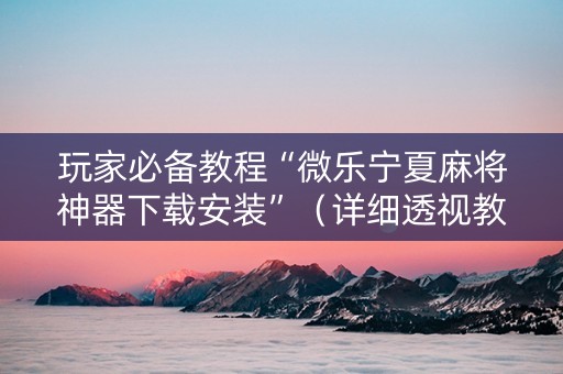 玩家必备教程“微乐宁夏麻将神器下载安装”（详细透视教程）-哔哩哔哩