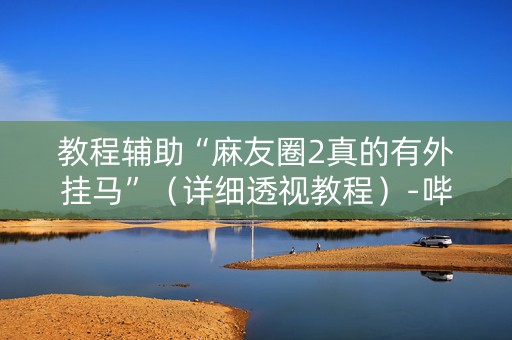 教程辅助“麻友圈2真的有外挂马”（详细透视教程）-哔哩哔哩