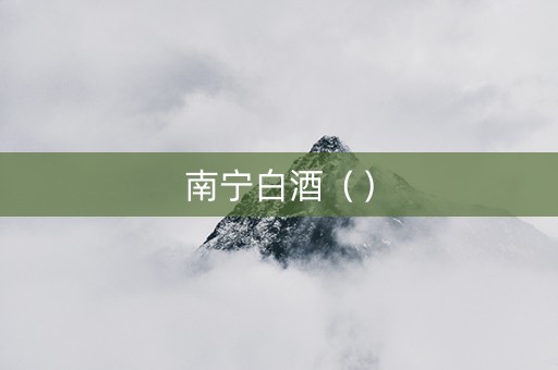 南宁白酒（）