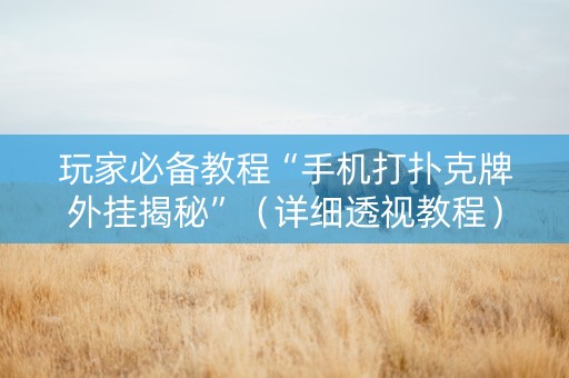 玩家必备教程“手机打扑克牌外挂揭秘”（详细透视教程）-哔哩哔哩