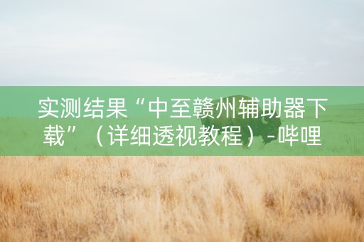 实测结果“中至赣州辅助器下载”（详细透视教程）-哔哩哔哩
