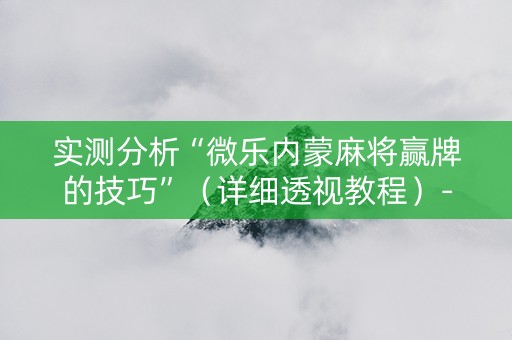 实测分析“微乐内蒙麻将赢牌的技巧”（详细透视教程）-哔哩哔哩