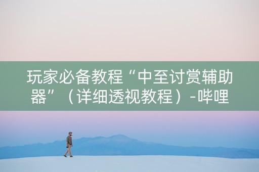 玩家必备教程“中至讨赏辅助器”（详细透视教程）-哔哩哔哩