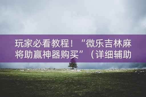 玩家必看教程！“微乐吉林麻将助赢神器购买”（详细辅助教程）-哔哩哔哩
