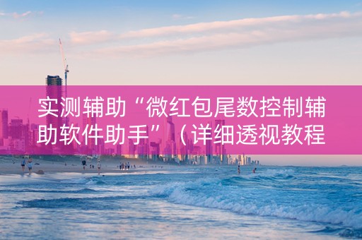 实测辅助“微红包尾数控制辅助软件助手”（详细透视教程）-哔哩哔哩