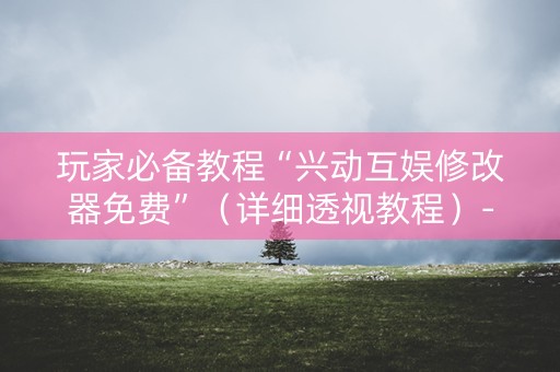 玩家必备教程“兴动互娱修改器免费”（详细透视教程）-哔哩哔哩