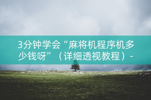 3分钟学会“麻将机程序机多少钱呀”（详细透视教程）-哔哩哔哩