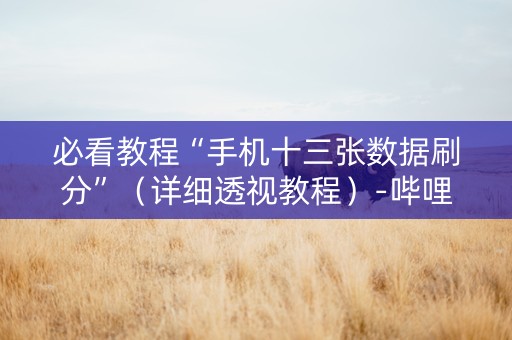 必看教程“手机十三张数据刷分”（详细透视教程）-哔哩哔哩