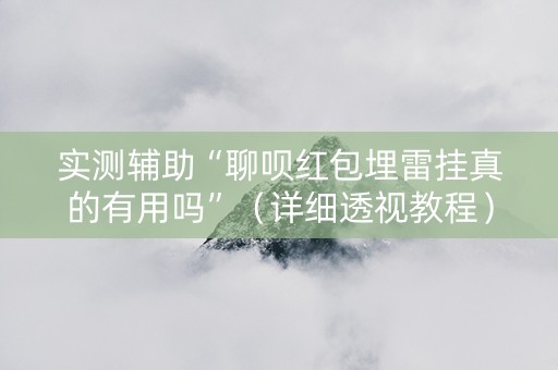 实测辅助“聊呗红包埋雷挂真的有用吗”（详细透视教程）-哔哩哔哩