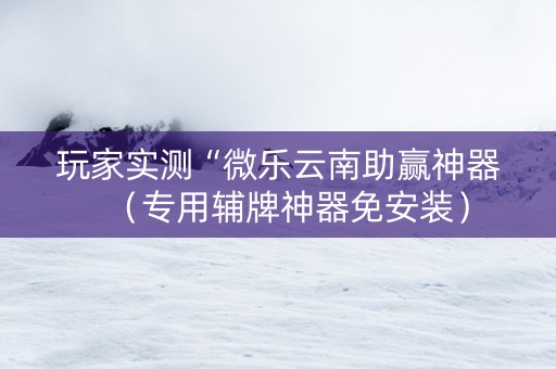 玩家实测“微乐云南助赢神器（专用辅牌神器免安装）